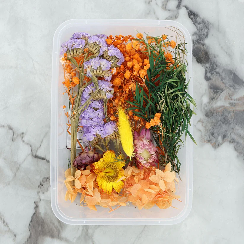 81103-1178678471 Dried Mixed Flowers