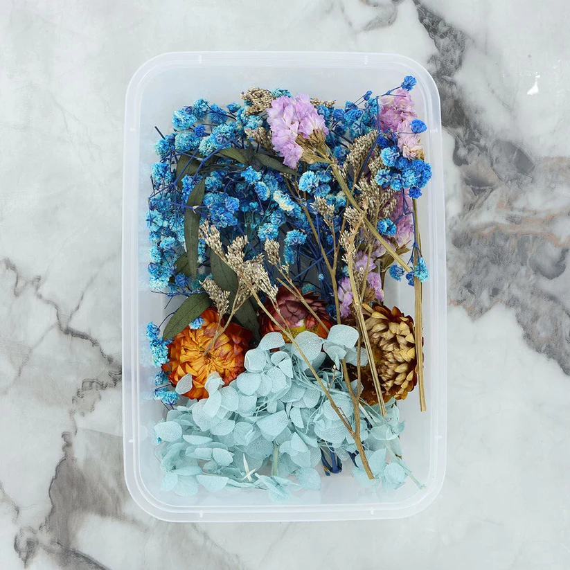 81103-1178678478 Dried Mixed Flowers