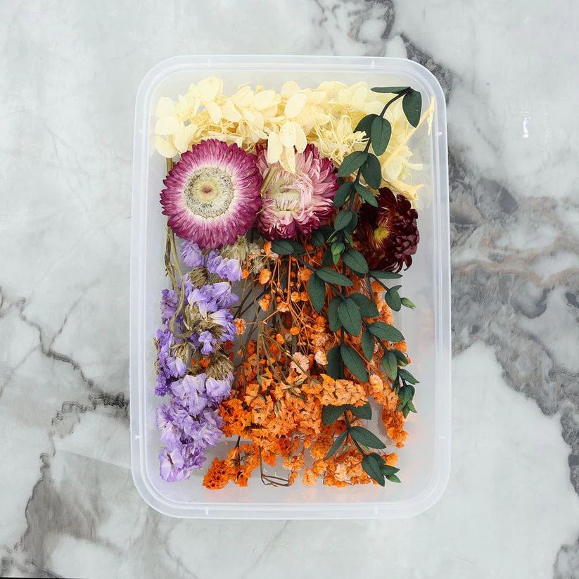 81103-1178678479 Dried Mixed Flowers