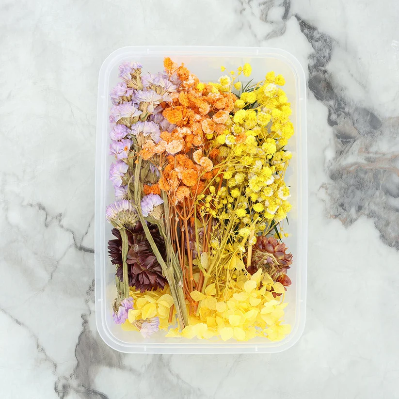 81103-1178678481 Dried Mixed Flowers