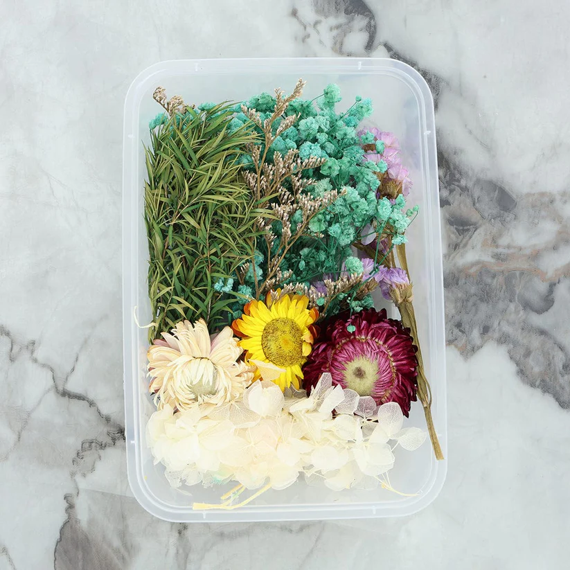 81103-1178678489 Dried Mixed Flowers