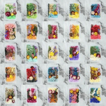 3D Dry Flower Random Colour