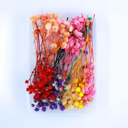 Baby Breath Dry Flower