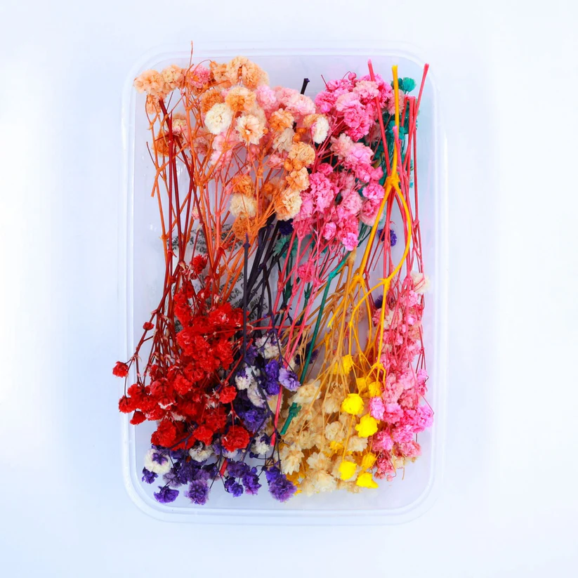 fl4000-45685730738466 Baby Breath Dry Flower